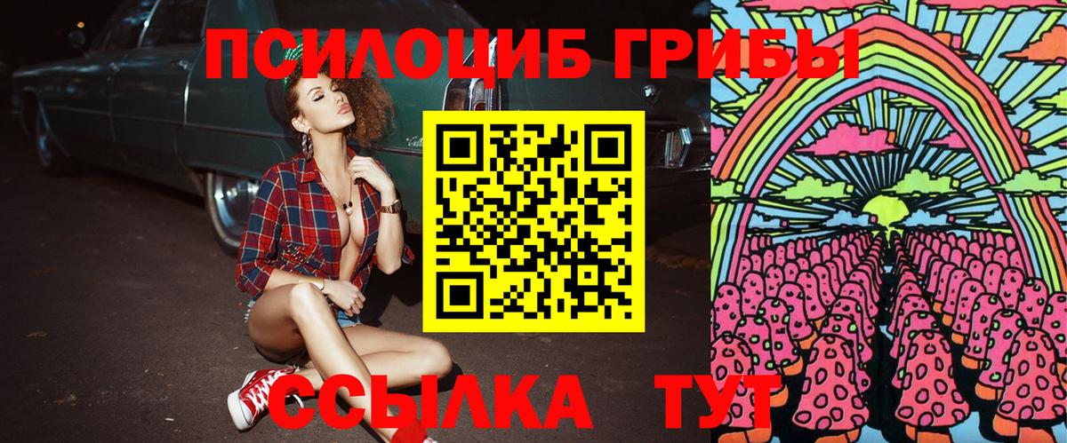 Галлюциногенные грибы Psilocybe Холмск